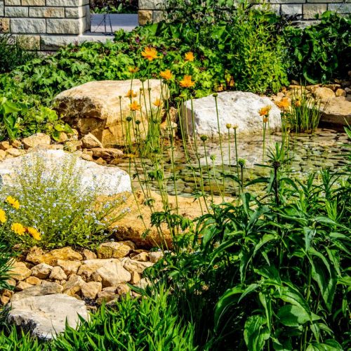 Newly designed, beautiful garden pond